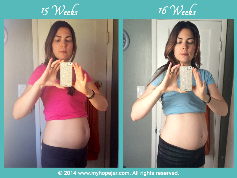 15-16WeeksBelly